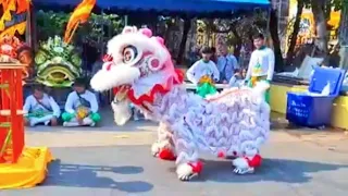 Acrobatic Lion Dance Thailand