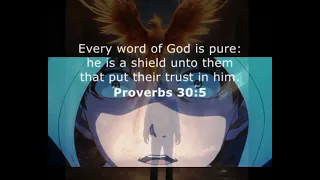 Proverbs 30:5 (Every Word Of GOD Is Pure)