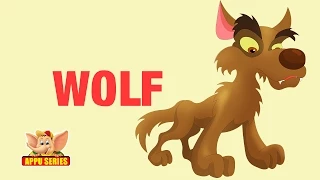 Animal Facts - Wolf