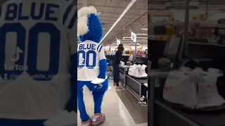 colts mascot blue doing pie to face!!!!!