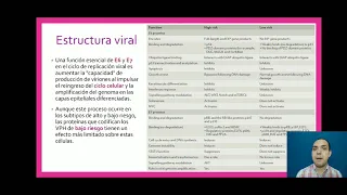 Virus de importancia clínica-Parte 1 Papillomaviridae (VPH) (2/6)