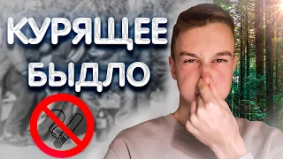 КУРЯТ ТОЛЬКО БЫДЛО/РАЗНОС ПО ФАКТАМ #курение