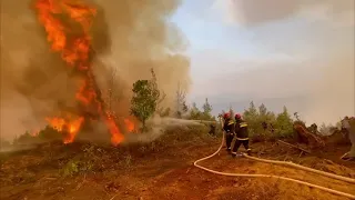 Pripadnici SVS - Naši heroji