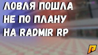 ЗАБРАЛИ КВАРТИРУ С АУКЦИОНА МЕНЬШЕ ГОССА RADMIR CRMP-ВЕЧЕРНЯЯ ЛОВЛЯ КВАРТИР,ГАРАЖЕЙ,БИЗНЕСЕВ