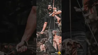 Tovino. Thomas  Mass  Video