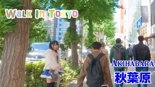 【4K TokyoWalk】Akihabara Walk　　秋葉原を歩く。　2024/5/9