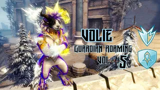 Guild Wars 2 - Volie [vT] Guardian Roaming Vol. #5