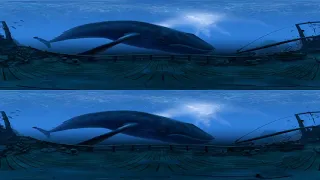 VR EXPERIENCE-THE BLU WHALE