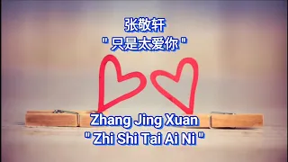 [KARAOKE] Zhi Shi Tai Ai Ni 只是太爱你 卡拉OK版 - 张敬轩 Zhang Jing Xuan