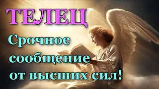 ТЕЛЕЦ 💌 СРОЧНОЕ СООБЩЕНИЕ от 🙏 ВЫСШИХ СИЛ!  💯 УЗНАЙТЕ, ЧТО ГОТОВИТ ВАМ СУДЬБА! ТАРО ПРОГНОЗ ГАДАНИЕ🍀