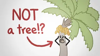 We don't know what a tree is (and this video won't tell you)