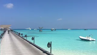 Top Things To Do in Maldives | My Favorite Daily Itinerary Activities