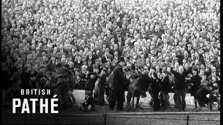 Chelsea Champions (1955)