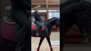 выездка, тренировка #конкур #horse #хочуврек #рек #спорт