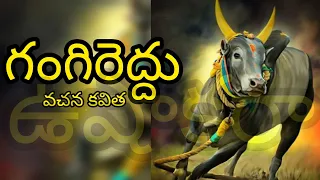 గంగిరెద్దు