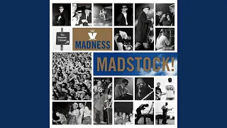 It Must Be Love (Madstock 1992)