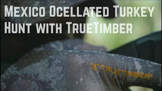 Mexico Ocellated Turkey Hunt with Rob Keck and TrueTimber