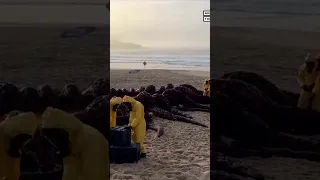 Men in Hazmat Suits Rush the Beach