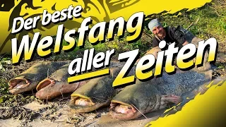 Der beste Welsfang aller Zeiten | Die Waller fressen ohne Pause | Welsangeln am Fluss