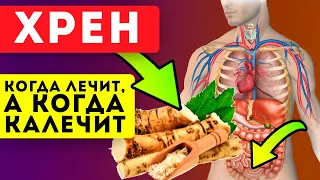 ЧТО ТВОРИТ ХРЕН! 99% людей не догадываются о его силе! Суставы, мужская сила, простуда и...