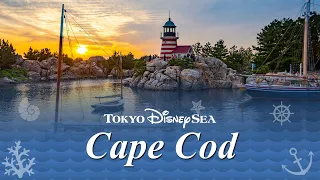 CapCod - Area Background Music | at Tokyo DisneySea