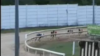 IGB - The Irish Retired Greyhound Trust  17/05/2019 Race 4 - Curraheen Park