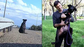 The story of the abandoned puppy from the bus stop. He sat and just waited.