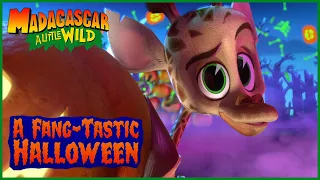 Fangtastic Halloween Promo | MADAGASCAR A LITTLE WILD