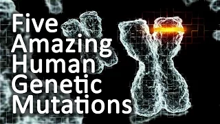 Five Amazing Genetic Human Mutations