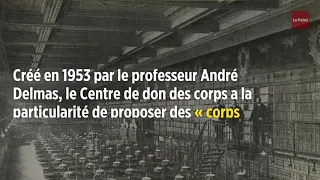 Un charnier au cœur de l'université Paris-Descartes fait scandale