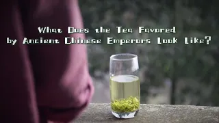 What Did the Tea Favored by Ancient Chinese Emperors Look Like?#tea #ancient #china #emperor #royal