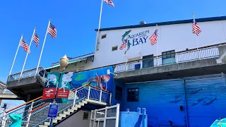 Visit at the Aquarium of The Bay, San Francisco- CA, 2023