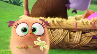 The Angry Birds - Easter greetings from hatchlings