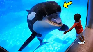 Orca Keeps Following Kid. 3 Minutes Later, Something INCREDIBLE Happens!