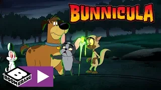 Bunnicula | Gravewalker | Boomerang UK 🇬🇧