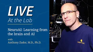 LIVE At the Lab - NeuroAI: Learning from the brain and AI