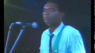 Robert Cray - Don't Touch Me Baby