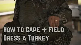 How To Cape and Field Dress a Turkey with Rob Keck and TrueTimber | Winter Osceola Turkey Hunt