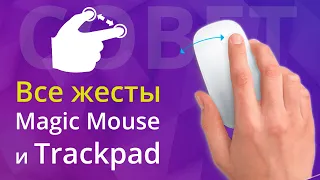 Как настроить управление жестами на мышь Apple Magic Mouse и Trackpad на MacBook с macOS