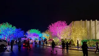 CHRISTMAS FESTIVAL OF LIGHTS 2023. WASHINGTON DC TEMPLE #christmaslightshow
