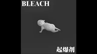 Bleach03 - Otoko Icchokusen