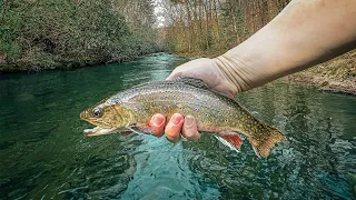 Should These Fish "Count"? (Controversial Fly Fishing Opinion)