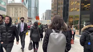 Financial District, Toronto life, Downtown Toronto, Ontario, Canada 4K Walk