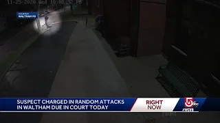 Suspect in random attacks due in court