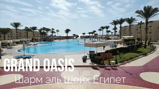 Grand Oasis Resort 4  Шарм эль Шейх  Египет 2022г. с 3 -10 ноября.