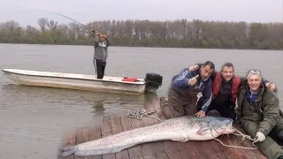 Pecanje na Savi i Dunavu kod Beograda - Pecanje soma, smuđa, bele ribe | Fishing catfish, zander