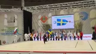 Sweden, country presentation at the 2015 Aerobics Europeans