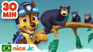 Patrulha Canina | 30 MINUTOS de resgates de animais fofinhos | Nick Jr. em Português