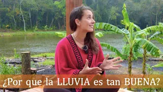 AGUA DE LLUVIA y sus beneficios a la plantas