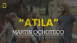 Capítulo completo - "ATILA" - Martín Ochoteco, el Domador de caballos - NAT GEO